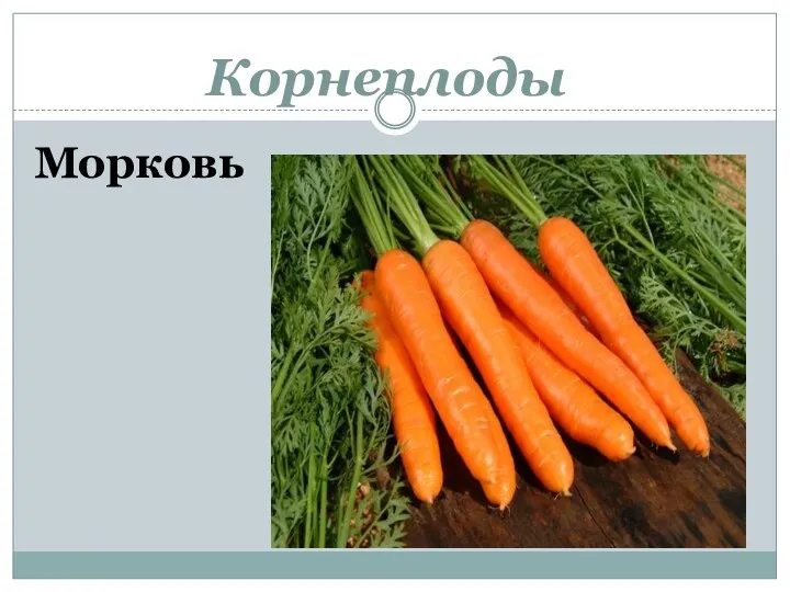 Корнеплоды Морковь