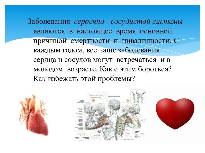 Заболевания сердечно - сосудистой системы являются в настоящее время основной