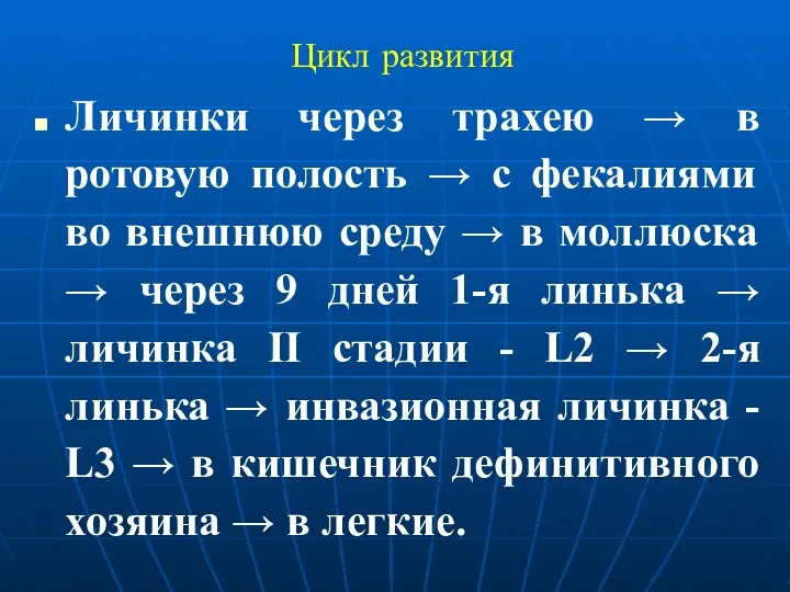 Цикл развития Личинки через трахею → в ротовую полость →