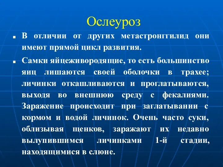 Ослеуроз В отличии от других метастронггилид они имеют прямой цикл