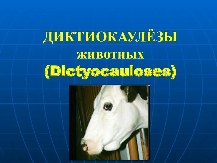 ДИКТИОКАУЛЁЗЫ животных (Dictyocauloses)