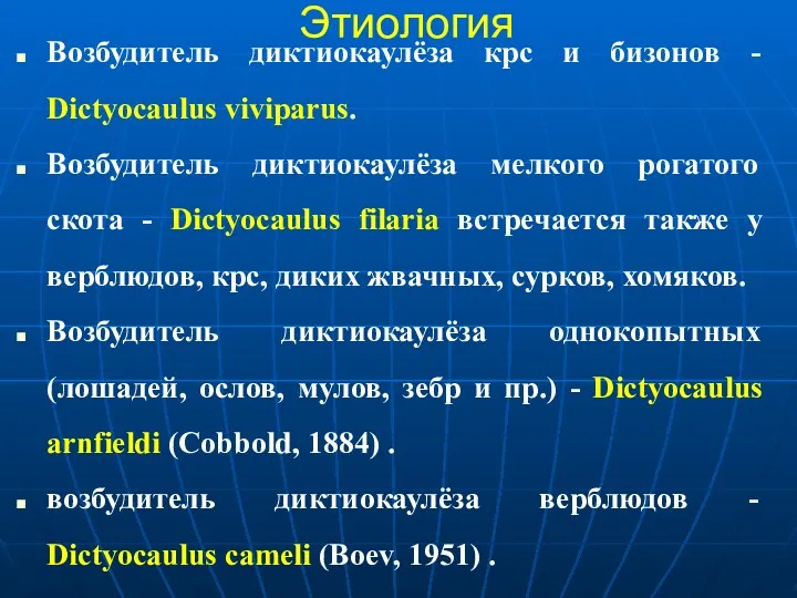 Этиология Возбудитель диктиокаулёза крс и бизонов - Dictyocaulus viviparus. Возбудитель диктиокаулёза мелкого рогатого