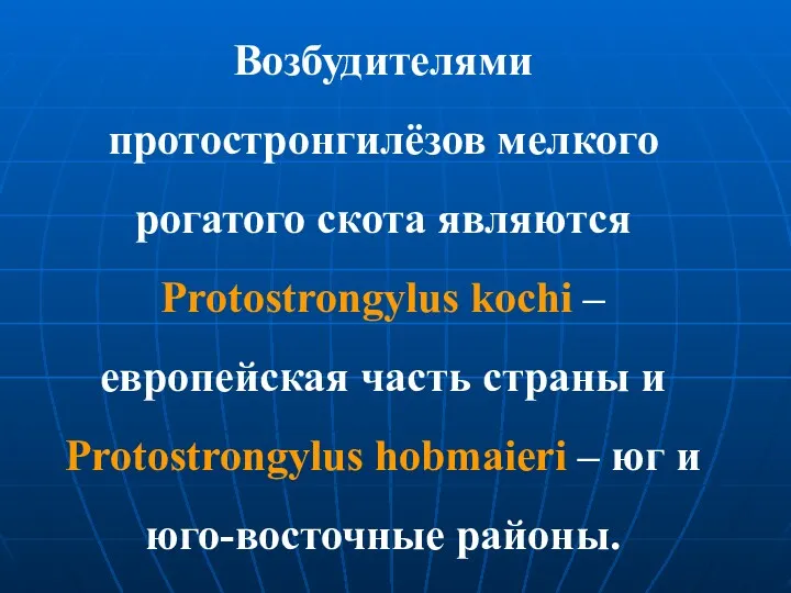 Возбудителями протостронгилёзов мелкого рогатого скота являются Protostrongylus kochi – европейская часть страны и