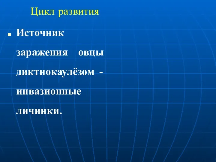 Цикл развития Источник заражения овцы диктиокаулёзом - инвазионные личинки.