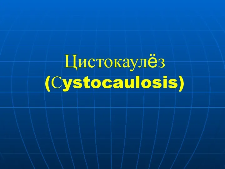 Цистокаулёз (Сystocaulosis)