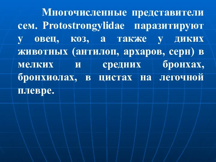 Многочисленные представители сем. Protostrongylidae паразитируют у овец, коз, а также у диких животных