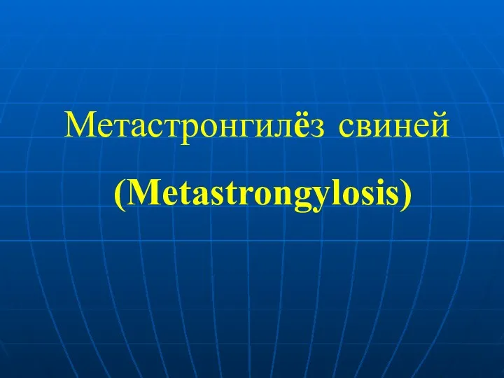 Метастронгилёз свиней (Metastrongylosis)