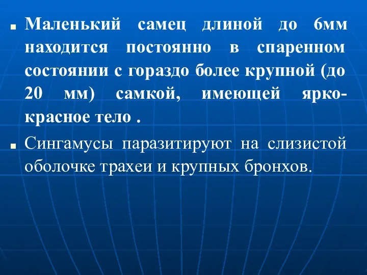 Маленький самец длиной до 6мм находится постоянно в спаренном состоянии