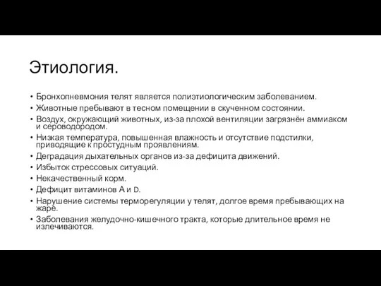 Этиология. Бронхопневмония телят является полиэтиологическим заболеванием. Животные пребывают в тесном