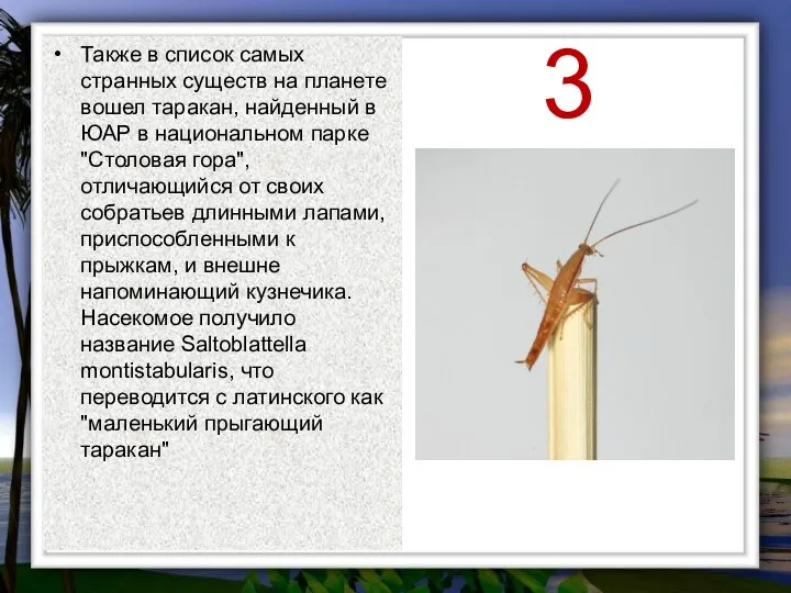 3 Также в список самых странных существ на планете вошел