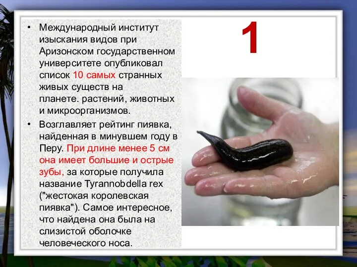 1 Международный институт изыскания видов при Аризонском государственном университете опубликовал