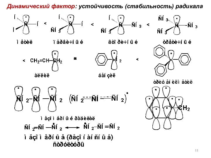 Динамический фактор: устойчивость (стабильность) радикала