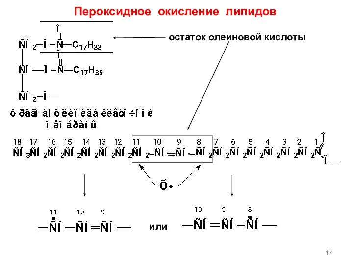 Пероксидное окисление липидов остаток олеиновой кислоты или