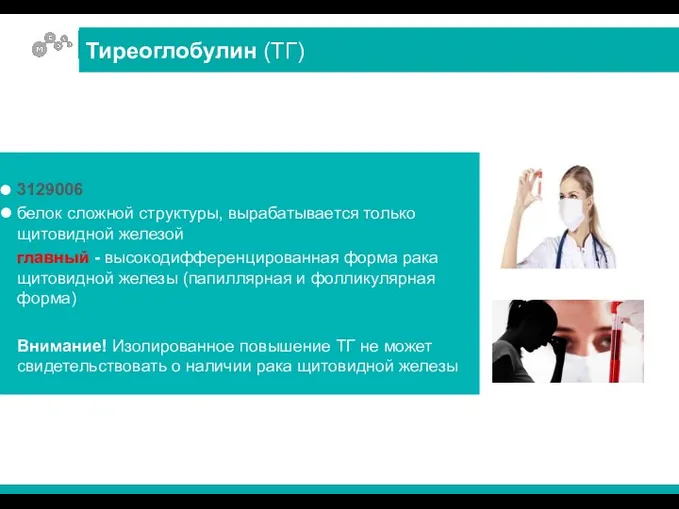 3129006 белок сложной структуры, вырабатывается только щитовидной железой главный -