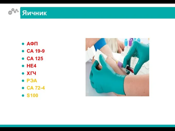 АФП СА 19-9 СА 125 НЕ4 ХГЧ РЭА СА 72-4 S100 Яичник