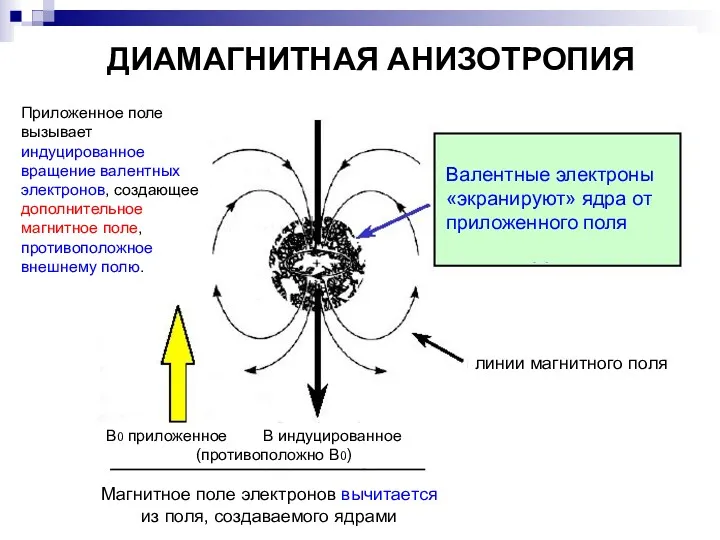 Приложенное поле вызывает индуцированное вращение валентных электронов, создающее дополнительное магнитное