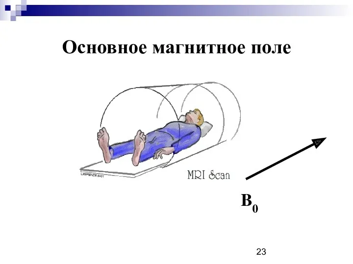 Основное магнитное поле B0