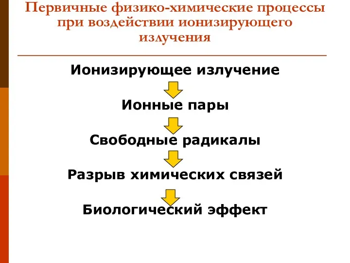 Первичные физико-химические процессы при воздействии ионизирующего излучения Ионизирующее излучение Ионные