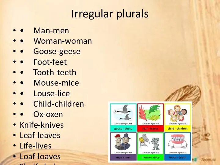 Irregular plurals • Man-men • Woman-woman • Goose-geese • Foot-feet