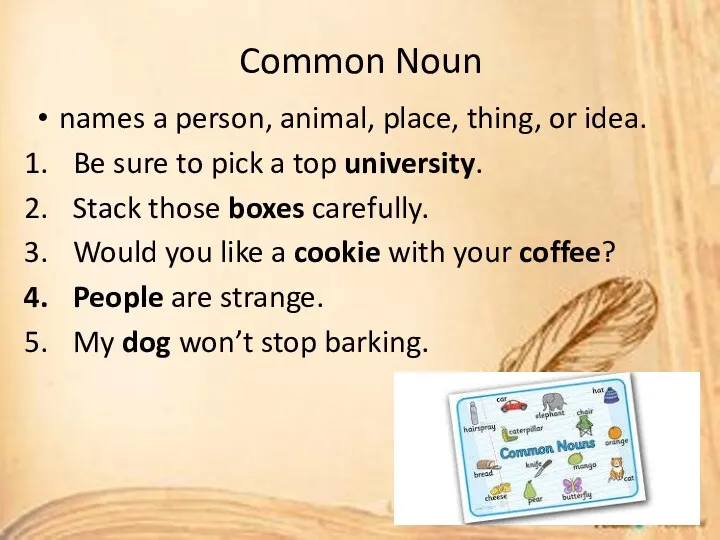 Common Noun names a person, animal, place, thing, or idea.