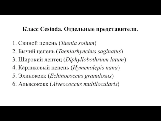 Класс Cestoda. Отдельные представители. 1. Свиной цепень (Taenia solium) 2.