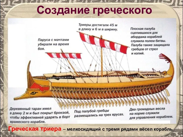 Создание греческого флота Греческая триера – мелкосидящий с тремя рядами вёсел корабль