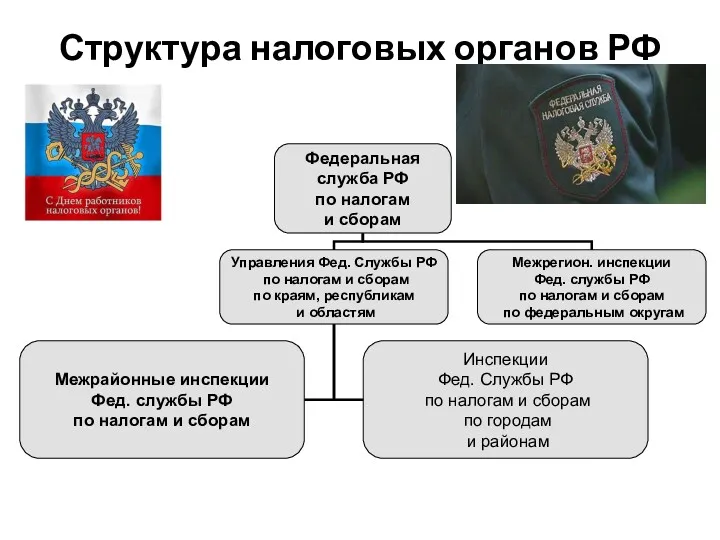 Структура налоговых органов РФ