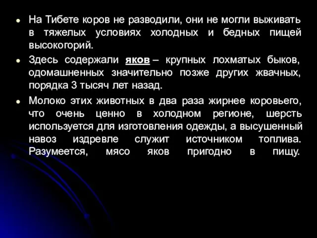 На Тибете коров не разводили, они не могли выживать в