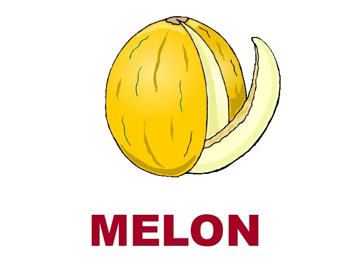 MELON