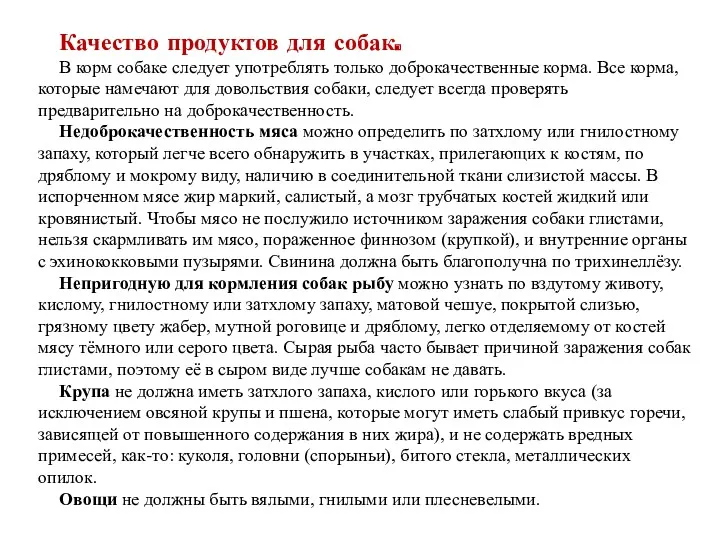 Качество продуктов для собак. В корм собаке следует употреблять только