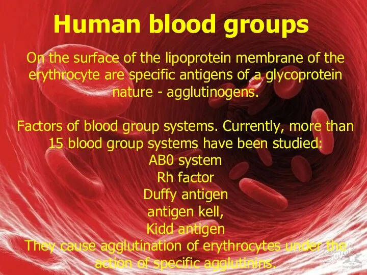 Human blood groups On the surface of the lipoprotein membrane