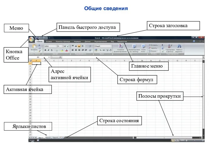 Общие сведения Строка заголовка Полосы прокрутки Ярлыки листов Меню