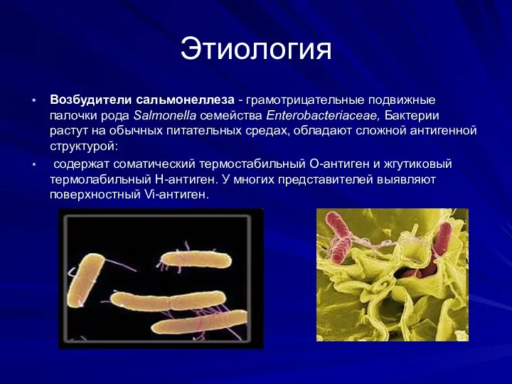 Этиология Возбудители сальмонеллеза - грамотрицательные подвижные палочки рода Salmonella семейства