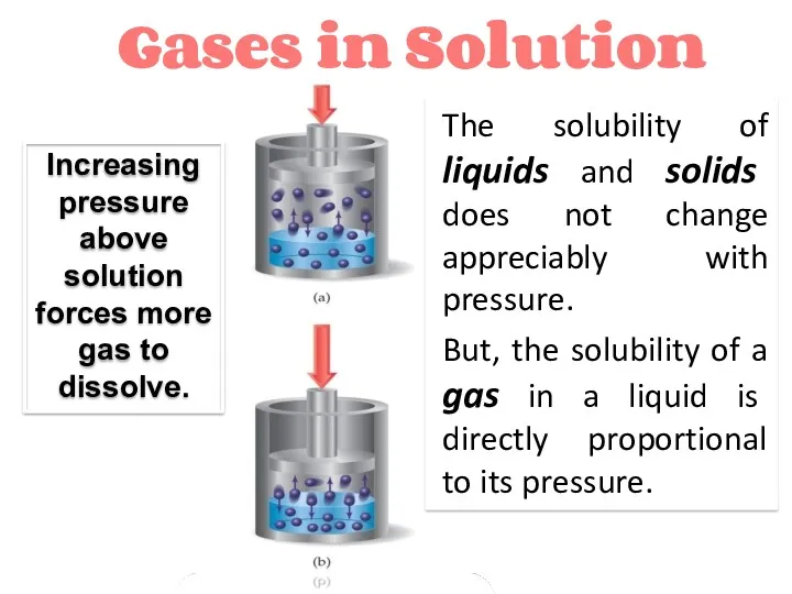 Gases in Solution Increasing pressure above solution forces more gas