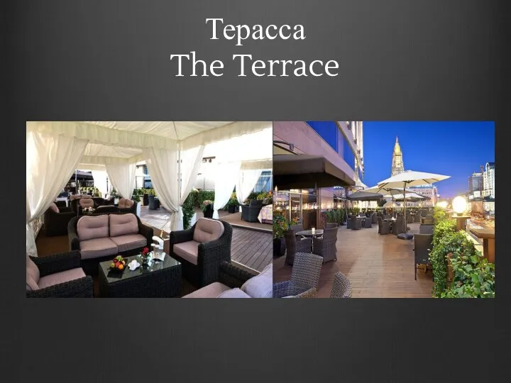 Терасса The Terrace
