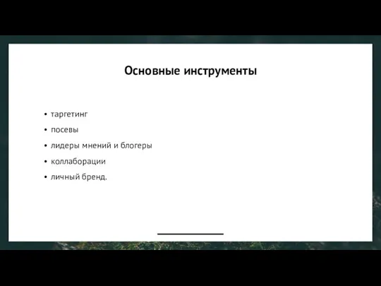 Основные инструменты таргетинг посевы лидеры мнений и блогеры коллаборации личный бренд.