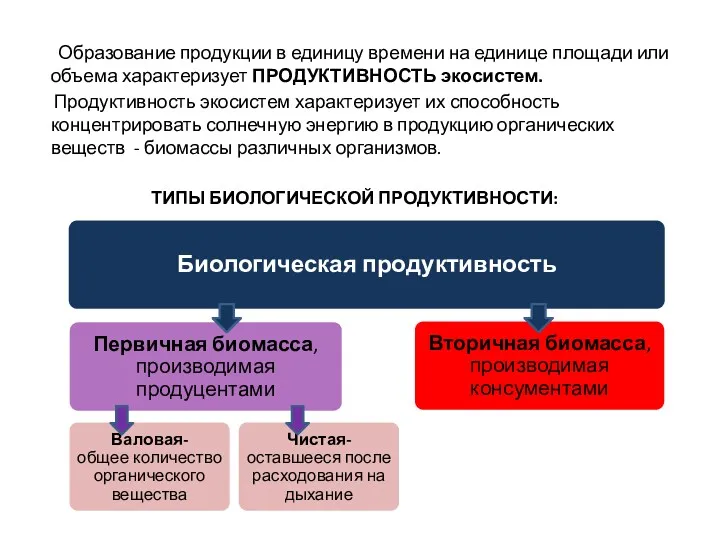 Образование продукции в единицу времени на единице площади или объема