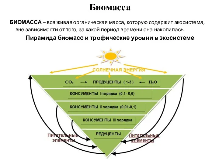 Биомасса БИОМАССА – вся живая органическая масса, которую содержит экосистема,