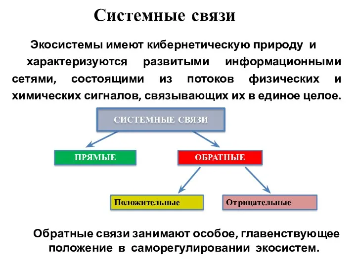 Системные связи Экосистемы имеют кибернетическую природу и характеризуются развитыми информационными