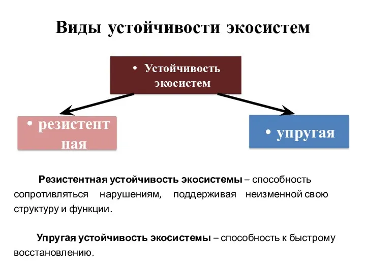 Виды устойчивости экосистем Резистентная устойчивость экосистемы – способность сопротивляться нарушениям,