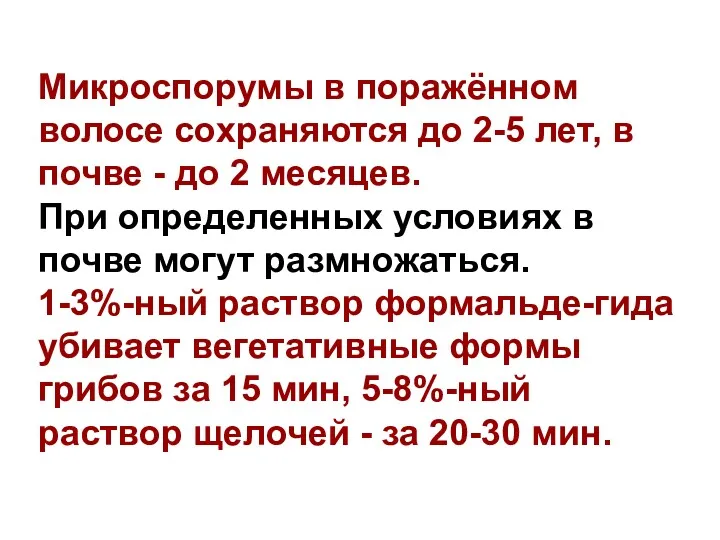 Микроспорумы в поражённом волосе сохраняются до 2-5 лет, в почве