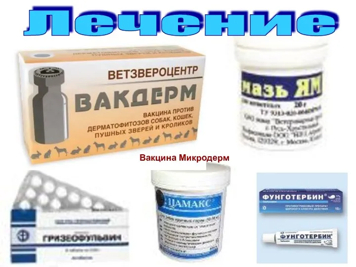 Лечение Вакцина Микродерм