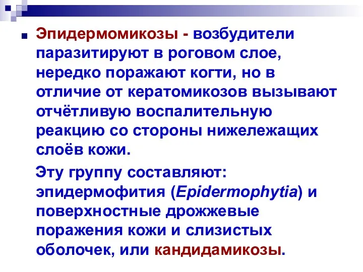 Эпидермомикозы - возбудители паразитируют в роговом слое, нередко поражают когти,