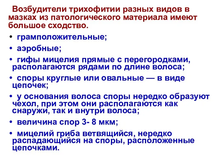 Возбудители трихофитии разных видов в мазках из патологического материала имеют