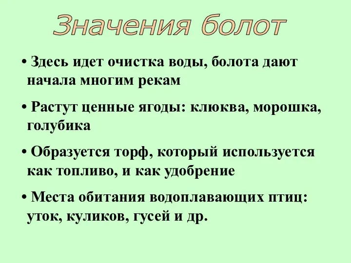 Значения болот Здесь идет очистка воды, болота дают начала многим