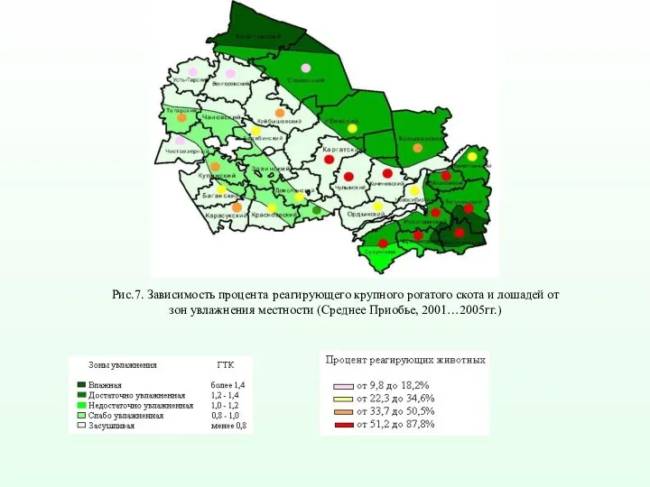 Рис.7. Зависимость процента реагирующего крупного рогатого скота и лошадей от зон увлажнения местности (Среднее Приобье, 2001…2005гг.)