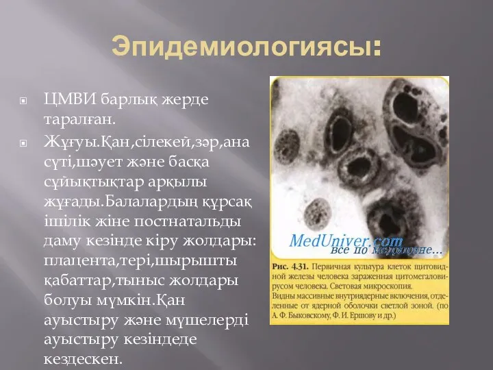 Эпидемиологиясы: ЦМВИ барлық жерде таралған. Жұғуы.Қан,сілекей,зәр,ана сүті,шәует және басқа сұйықтықтар