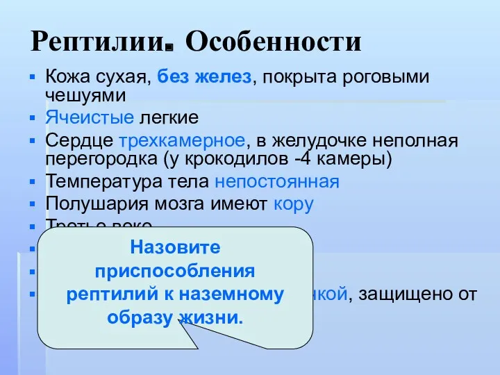 Рептилии. Особенности Кожа сухая, без желез, покрыта роговыми чешуями Ячеистые