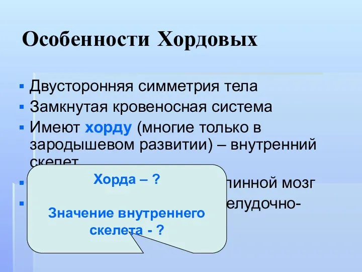 Особенности Хордовых Двусторонняя симметрия тела Замкнутая кровеносная система Имеют хорду