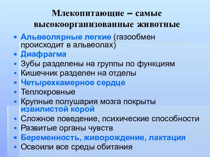 Млекопитающие – самые высокоорганизованные животные Альвеолярные легкие (газообмен происходит в